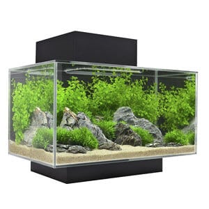 „Fluval Edge“ akvariumas