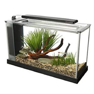 „Fluval Spec V“