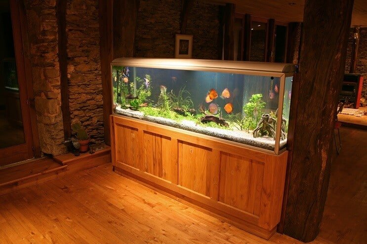„Discus Tank“ UV sterilizatorius