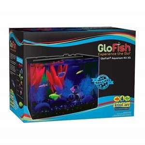 „GloFish“ akvariumas