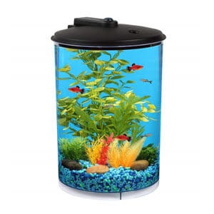 „Koller Aquaview“ 3 galonų bakas