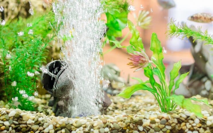 Akvariumo dekoravimas oro akmeniu