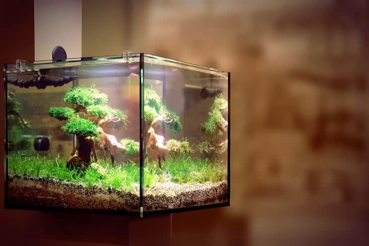 LED akvariumo apšvietimas