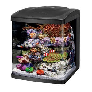 „Coralife Nano Cube“ žuvų bakas