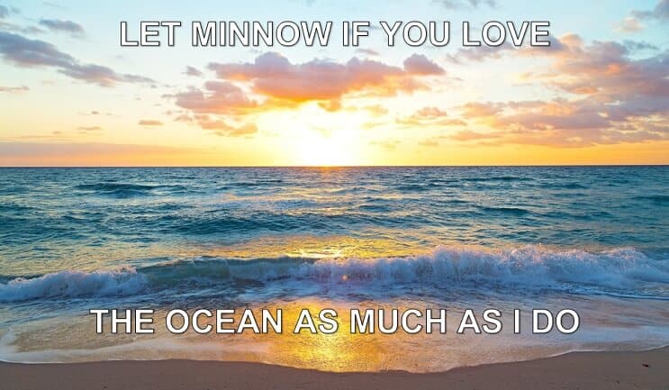 Tegul Minnow