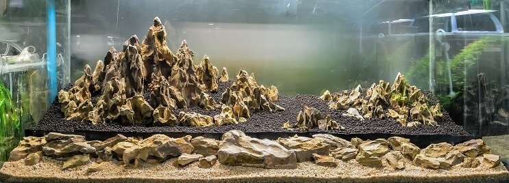 „Iwagumi Aquascape“